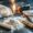 Fatal Overdoses Drop 27% in 2024 to Lowest Level Since Before Pandem