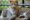 Oregon Safari Zoo Operator Arrested for Drugs, Weapons